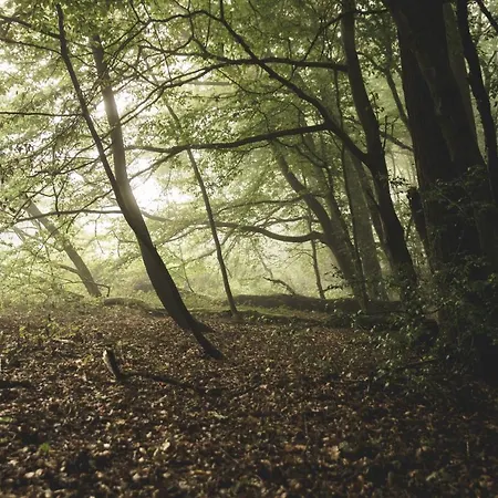 L'impasse De Lince Bed & Breakfast