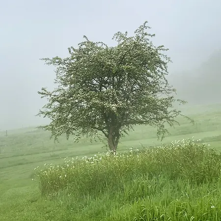 L'impasse De Lince Sprimont