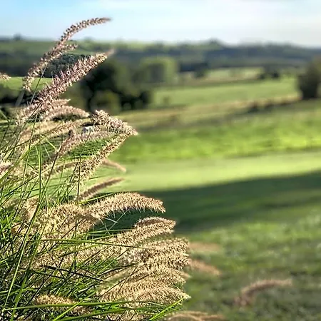 L'impasse De Lince Bed and Breakfast Sprimont
