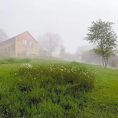 L'impasse De Lince Oda ve Kahvaltı Sprimont