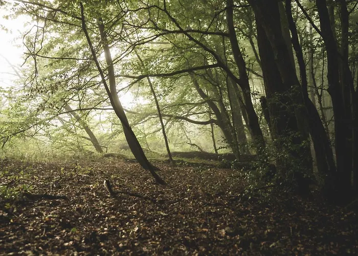 L'impasse De Lince Bed & Breakfast