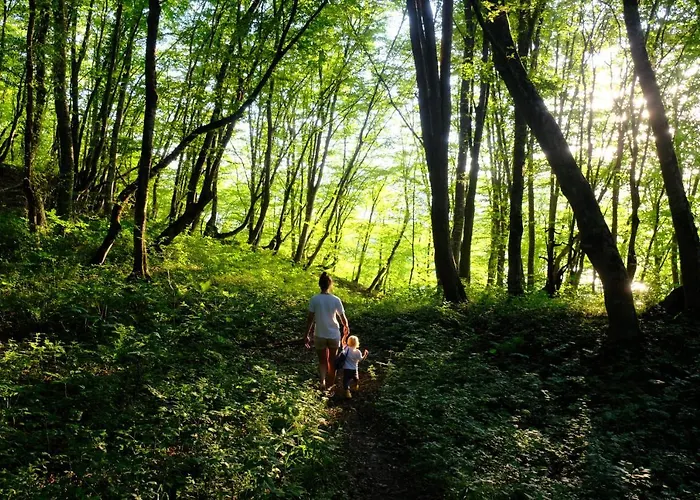 Bed & Breakfast L'impasse De Lince Sprimont