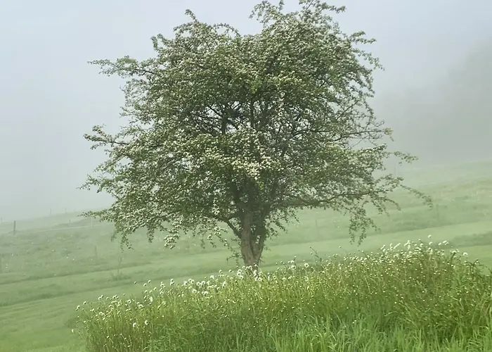 L'impasse De Lince Sprimont